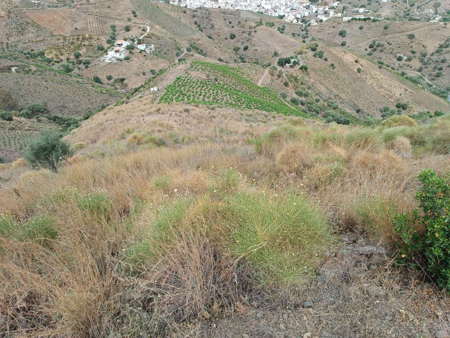 Plot in almachar with water