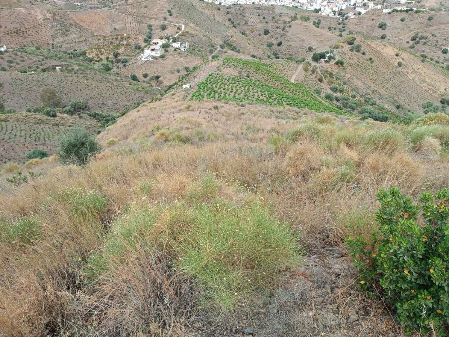 Plot in almachar with water
