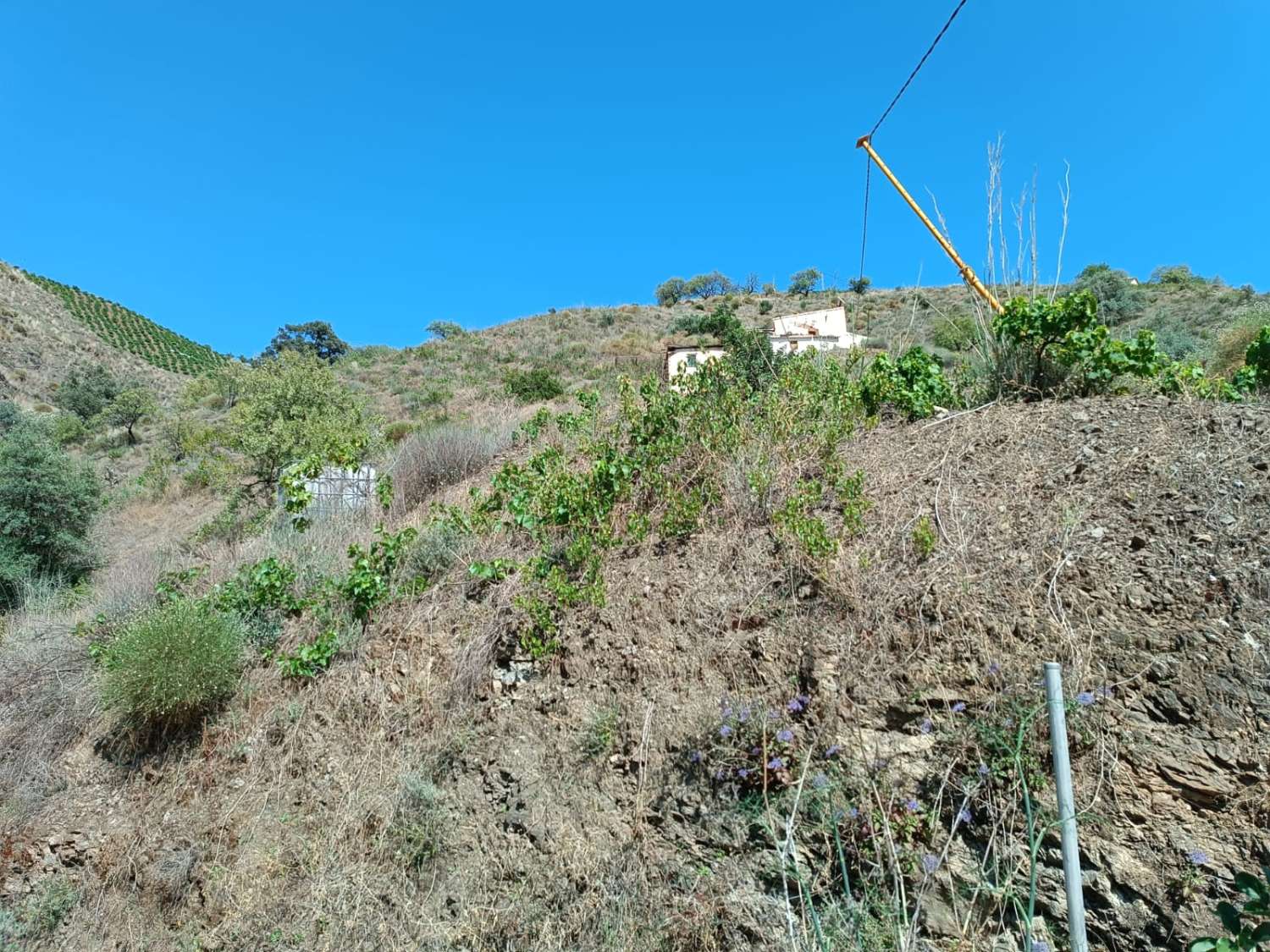Grundstück in El Borge mit Haus zum Renovieren