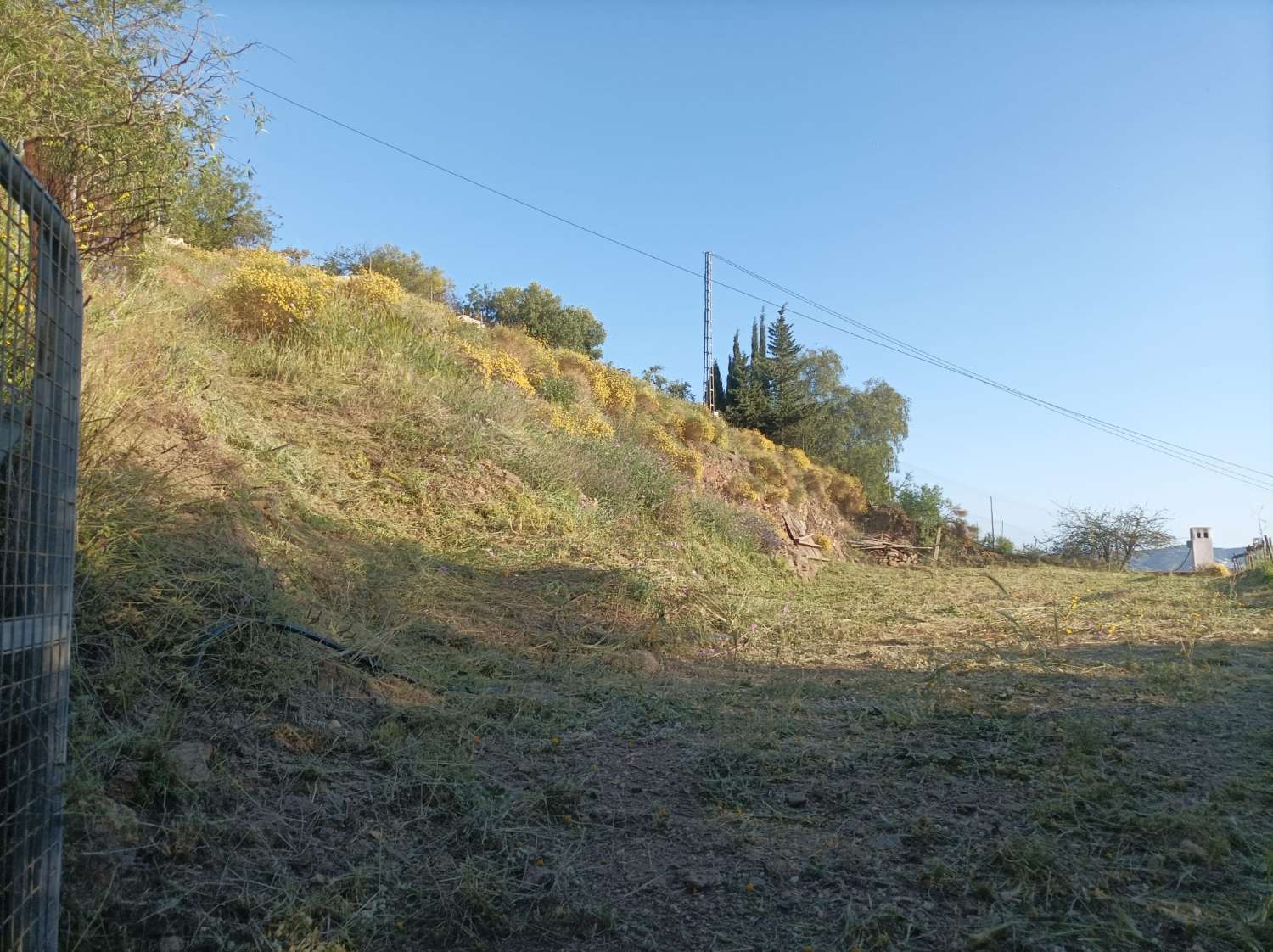 plot in triana with electricity, water and fencing