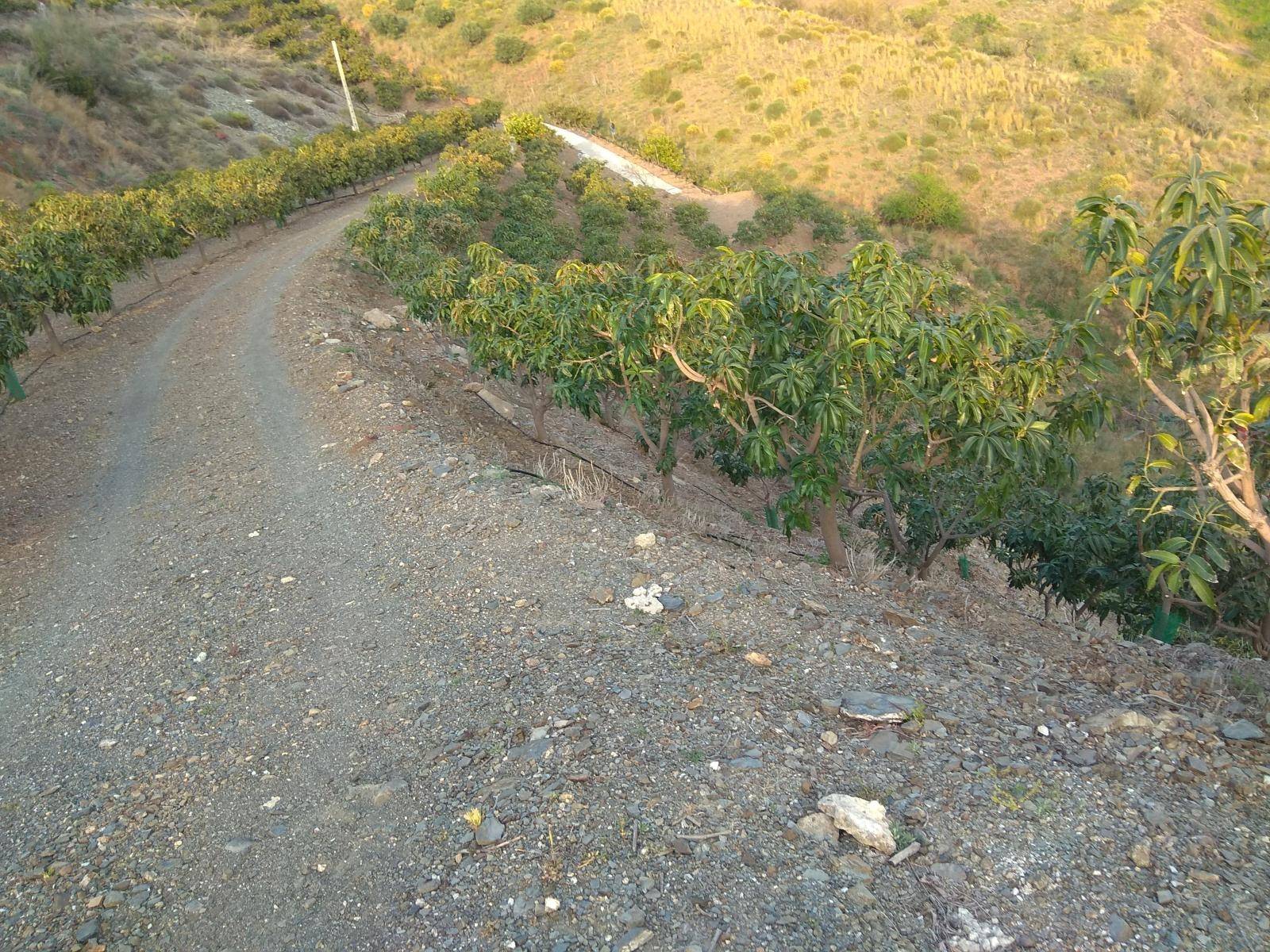 Etxea salgai in Moclinejo