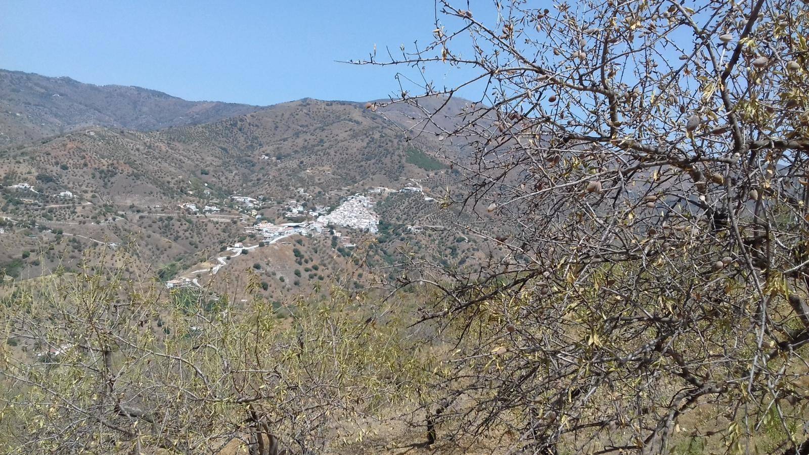 قطعة أرض للبيع في Totalán