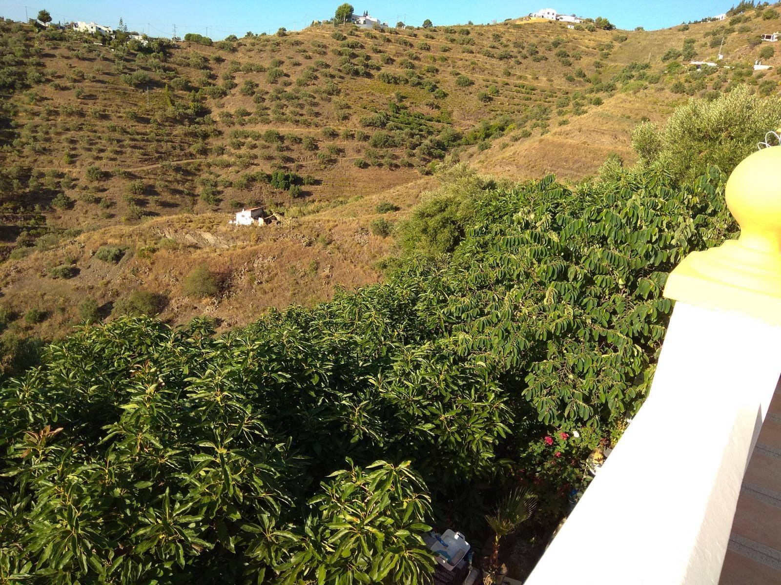 Chalet avec appartement à Torrox