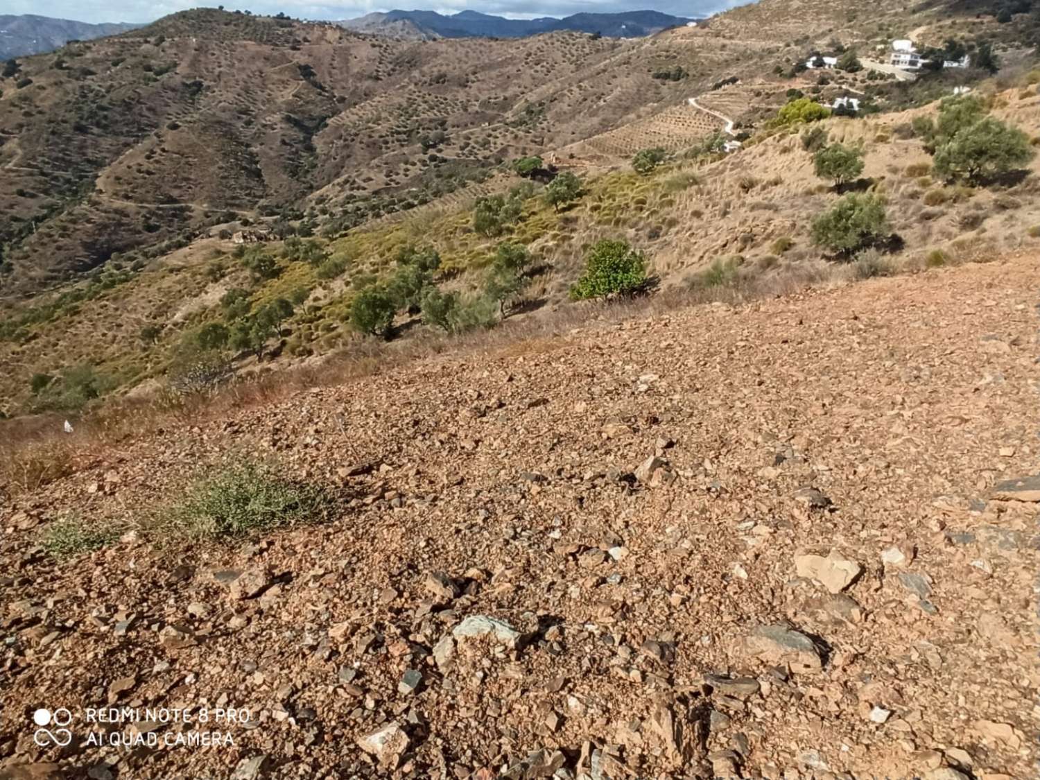 在 moclinejo 地块享有海景