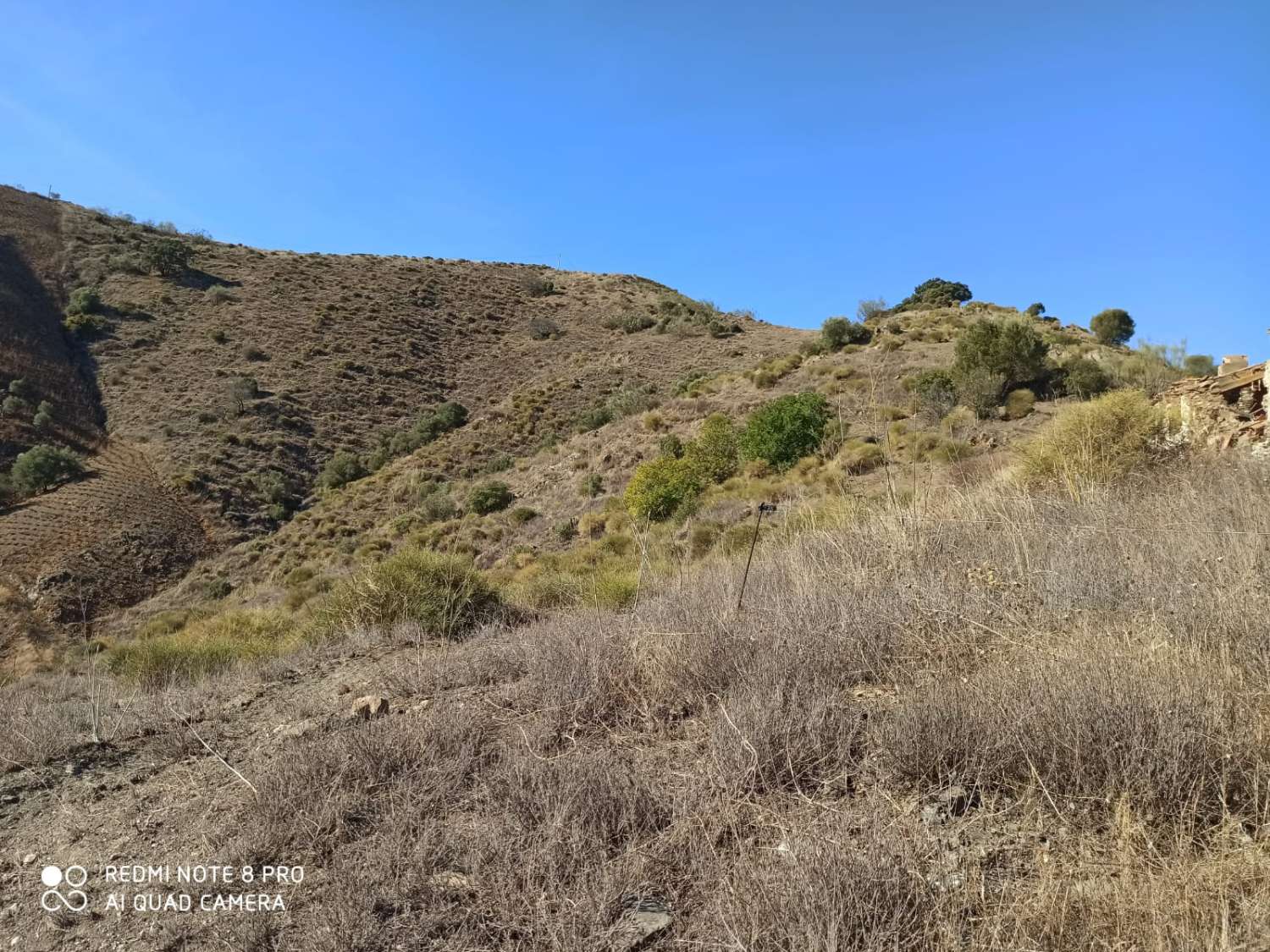 pacela en almachar con pozo de agua