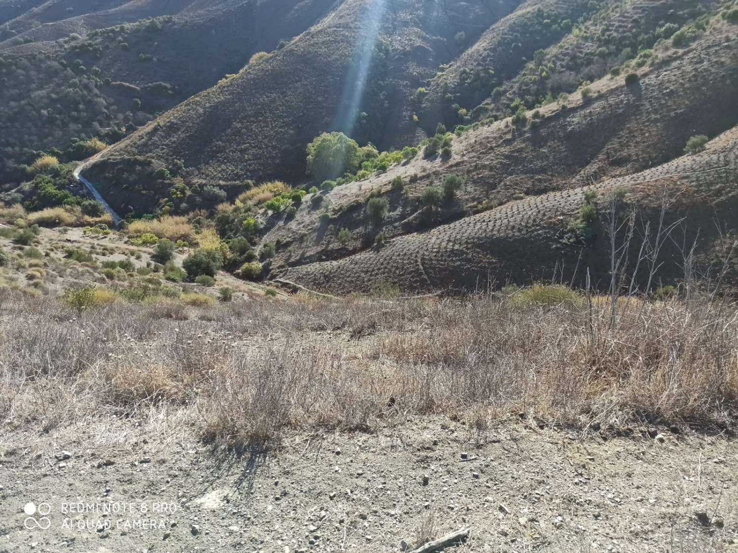 pacela en almachar con pozo de agua