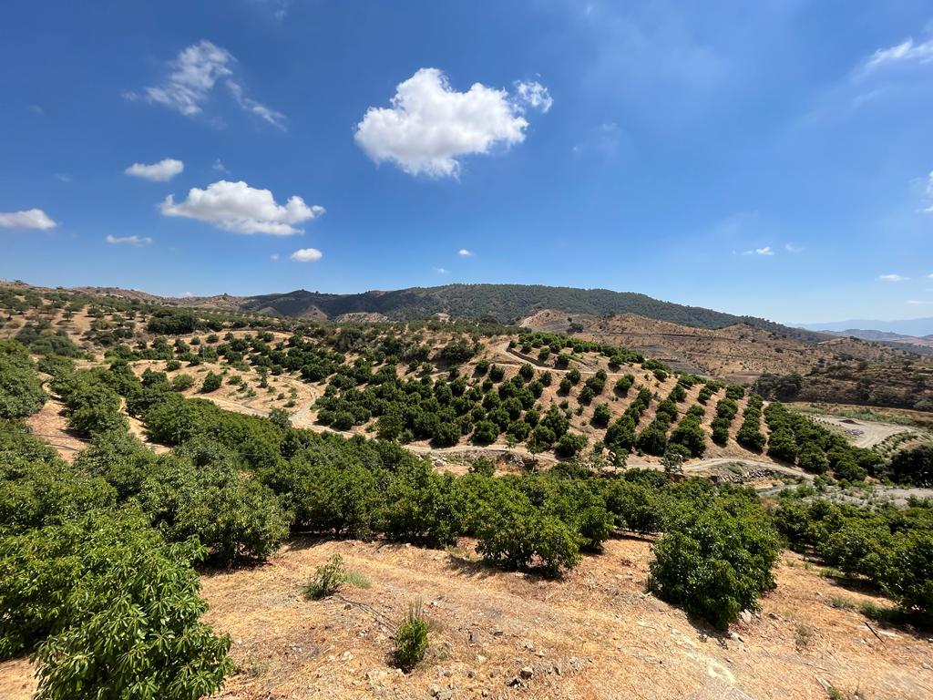 Finca met boerderij in casarabonela