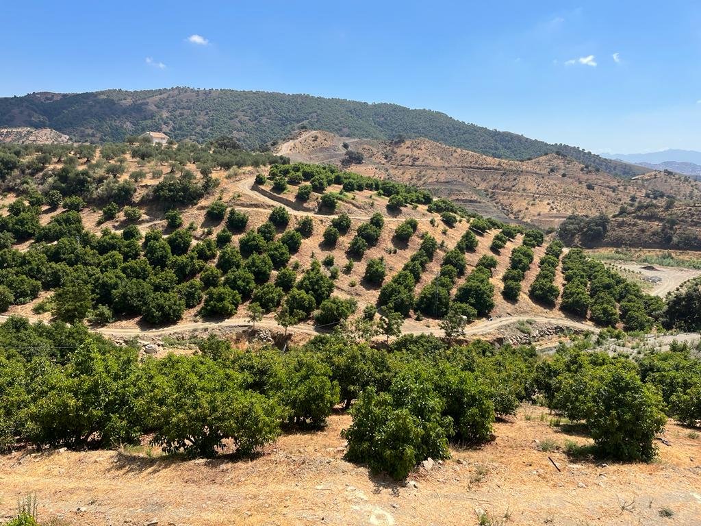 Finca met boerderij in casarabonela