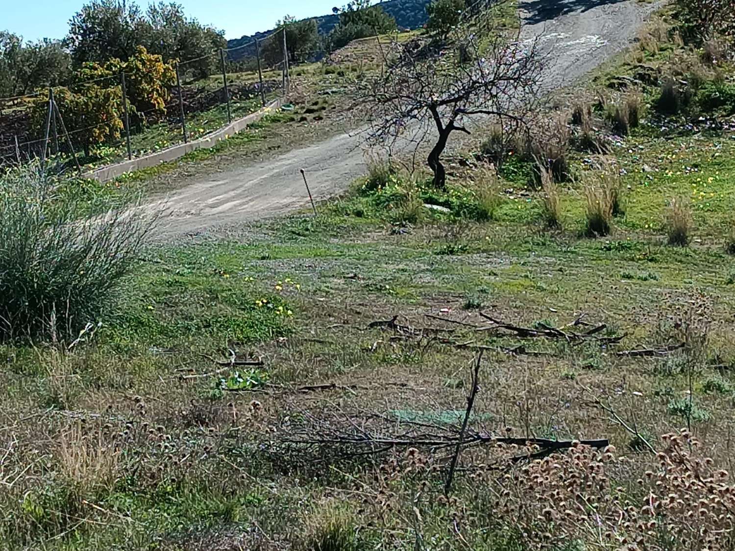 Terreno in totale con vista sul mare