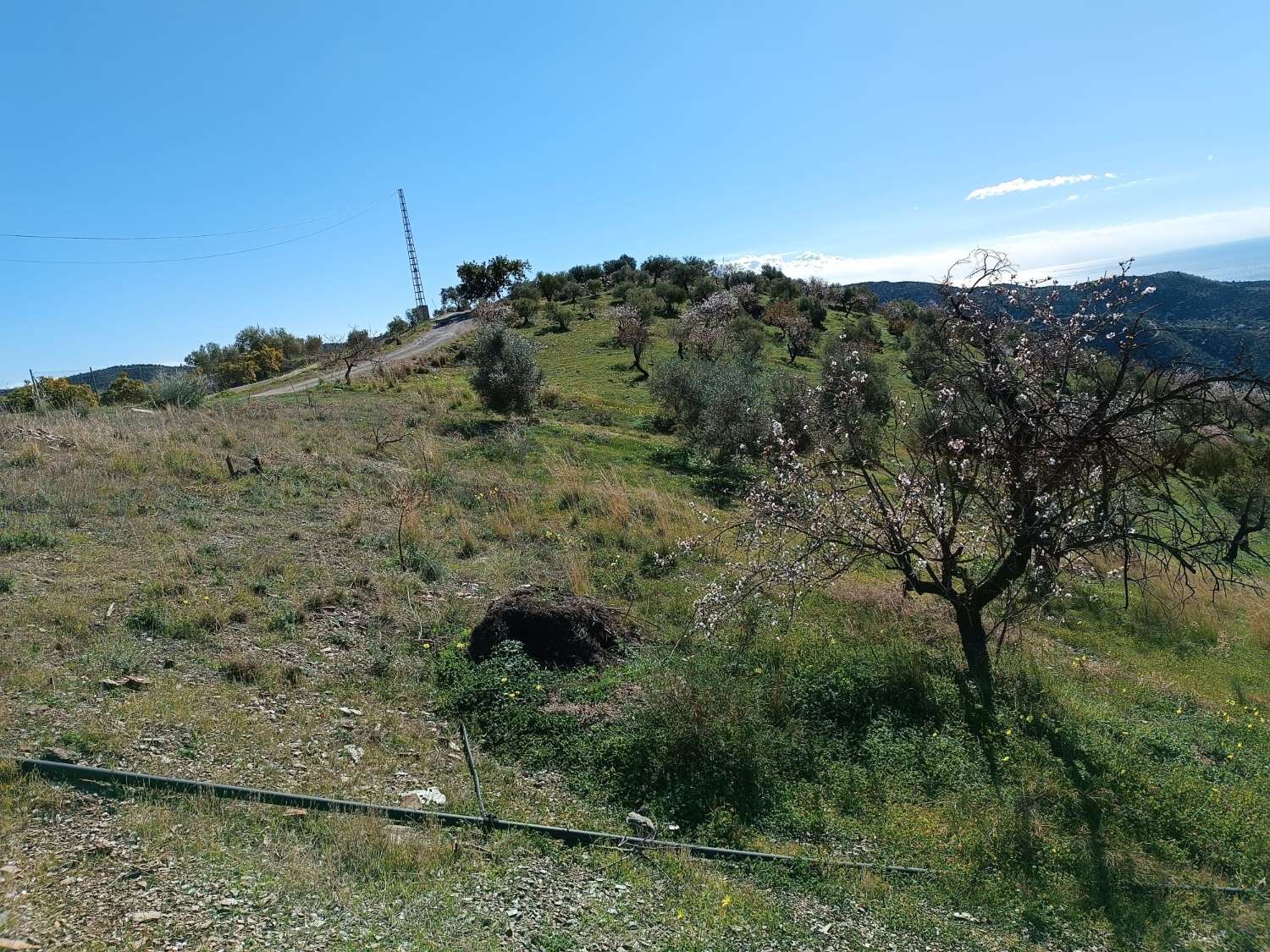 Terreno in totale con vista sul mare