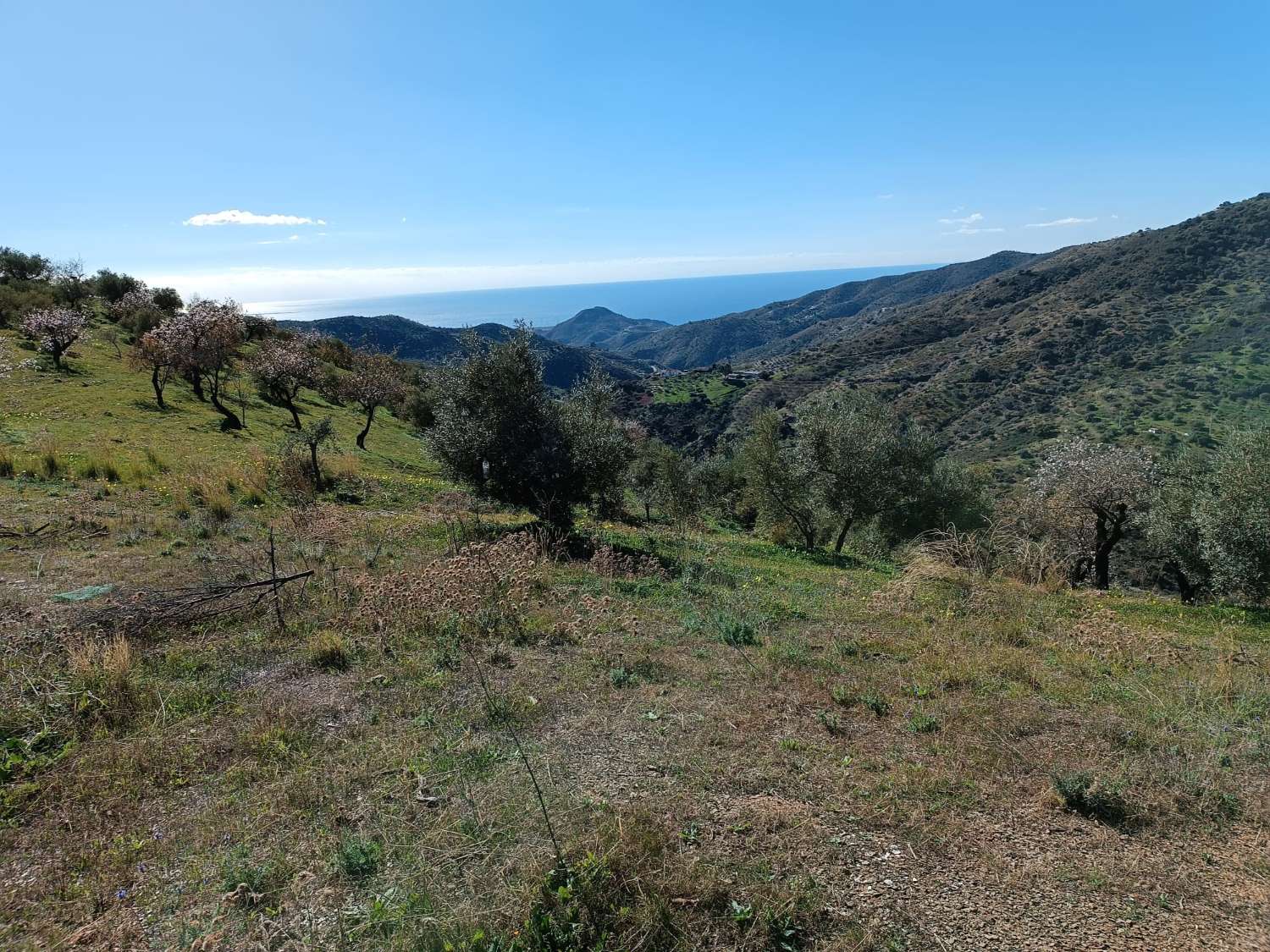 Terreno in totale con vista sul mare