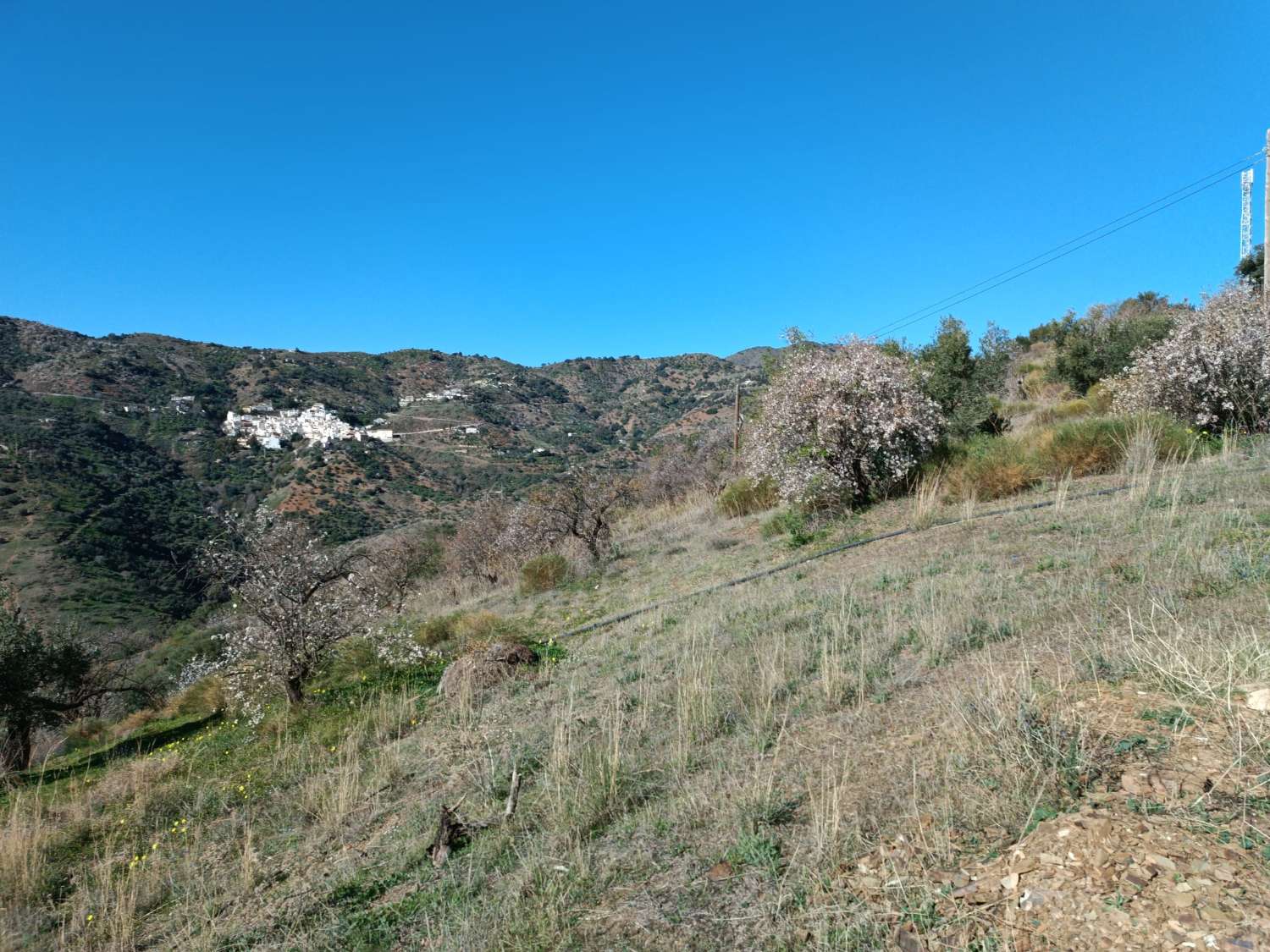 Terreno in totale con vista sul mare