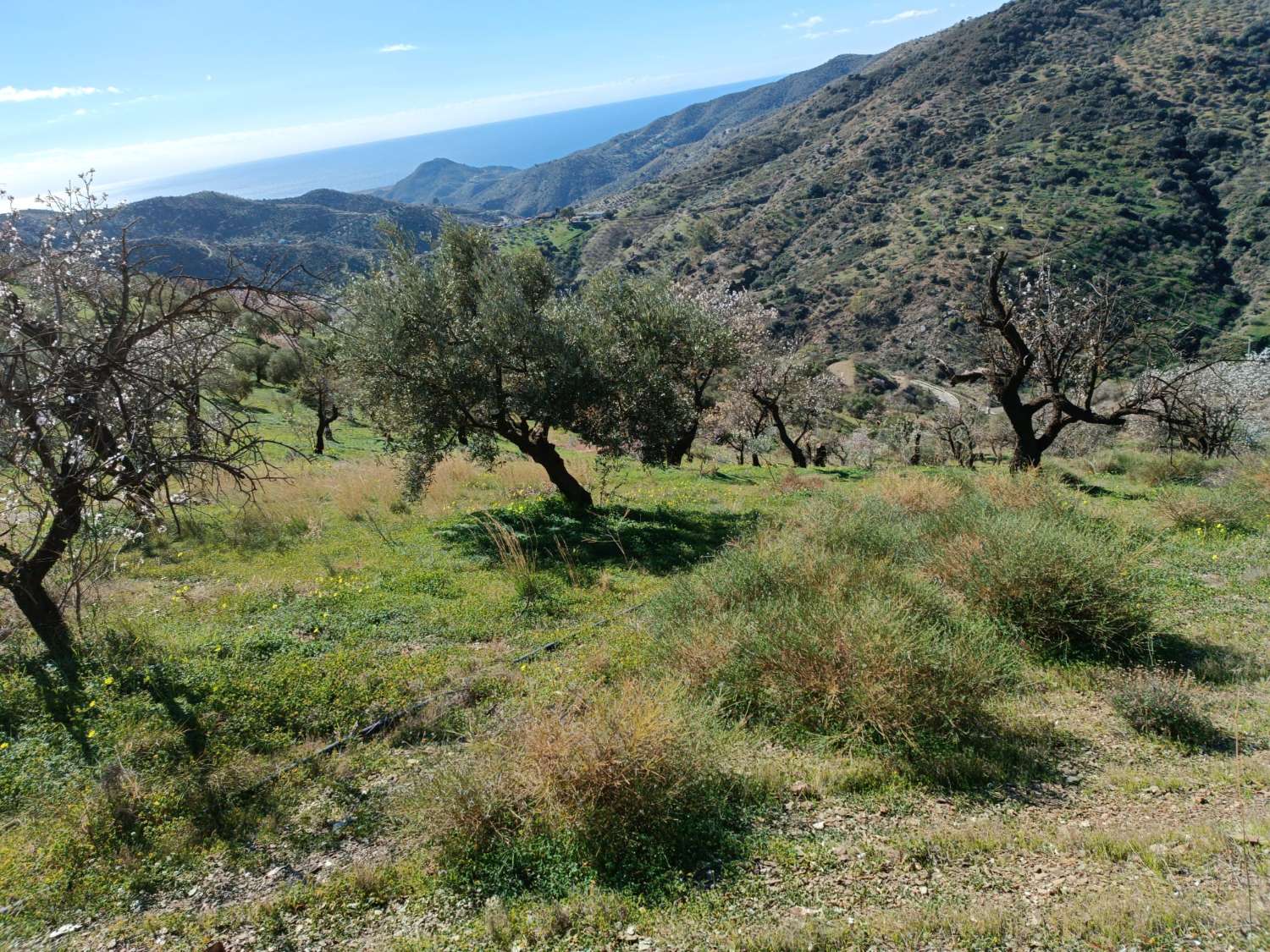 Terreno in totale con vista sul mare