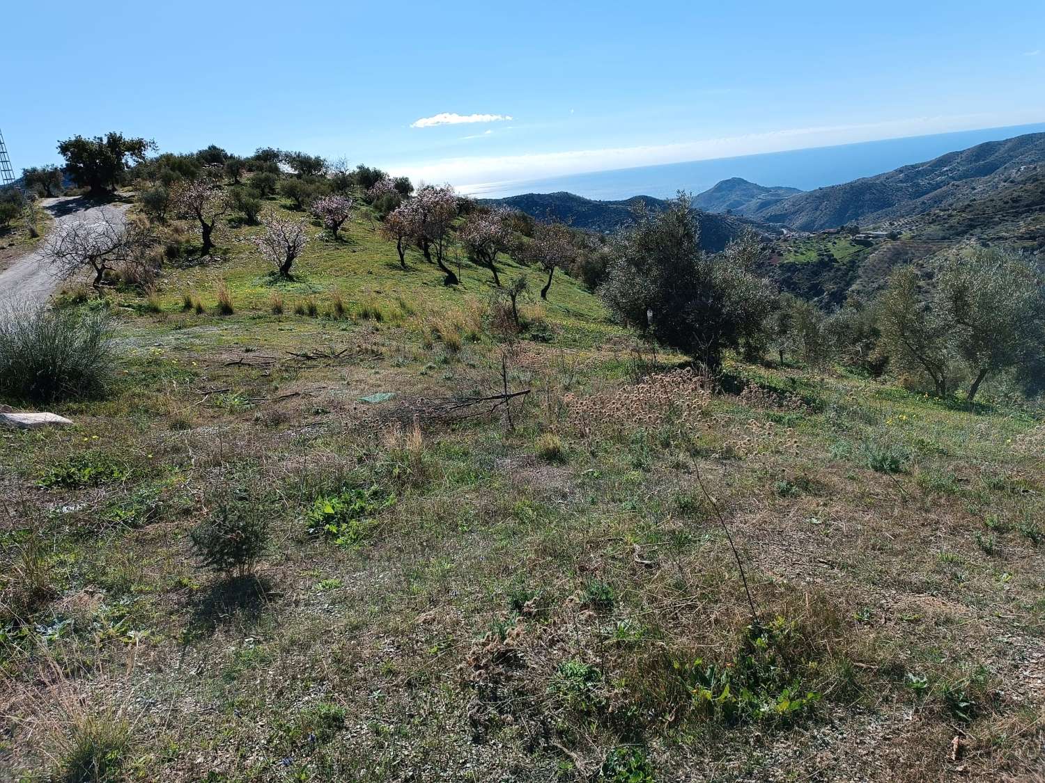 Terreno in totale con vista sul mare