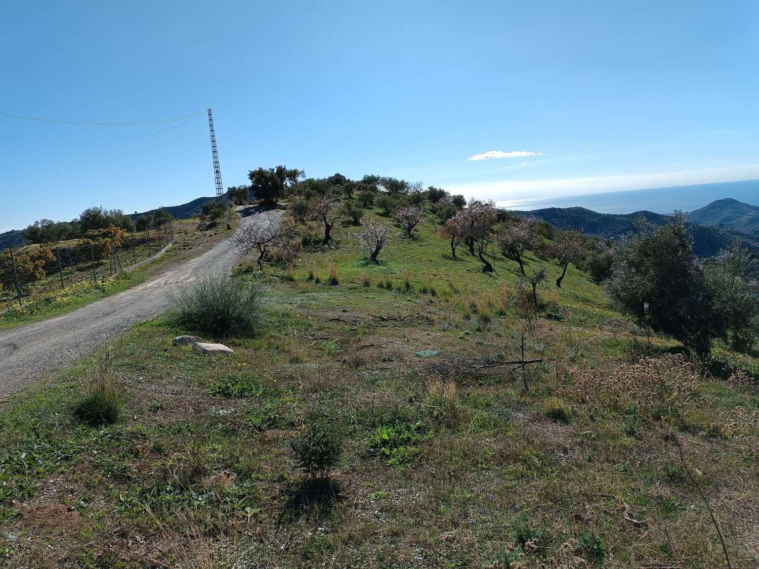 Terreno in totale con vista sul mare