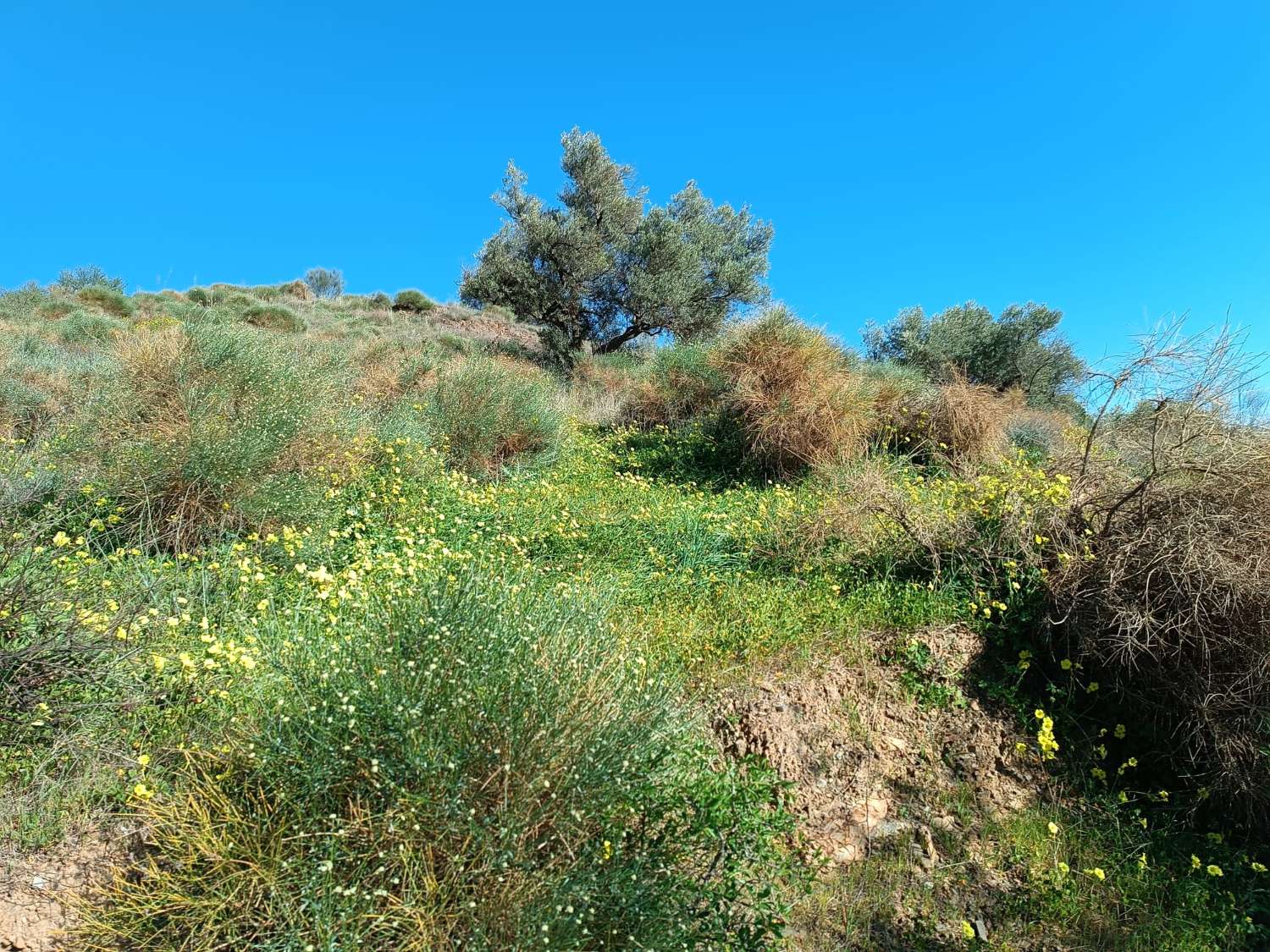 terrain dans les valdes