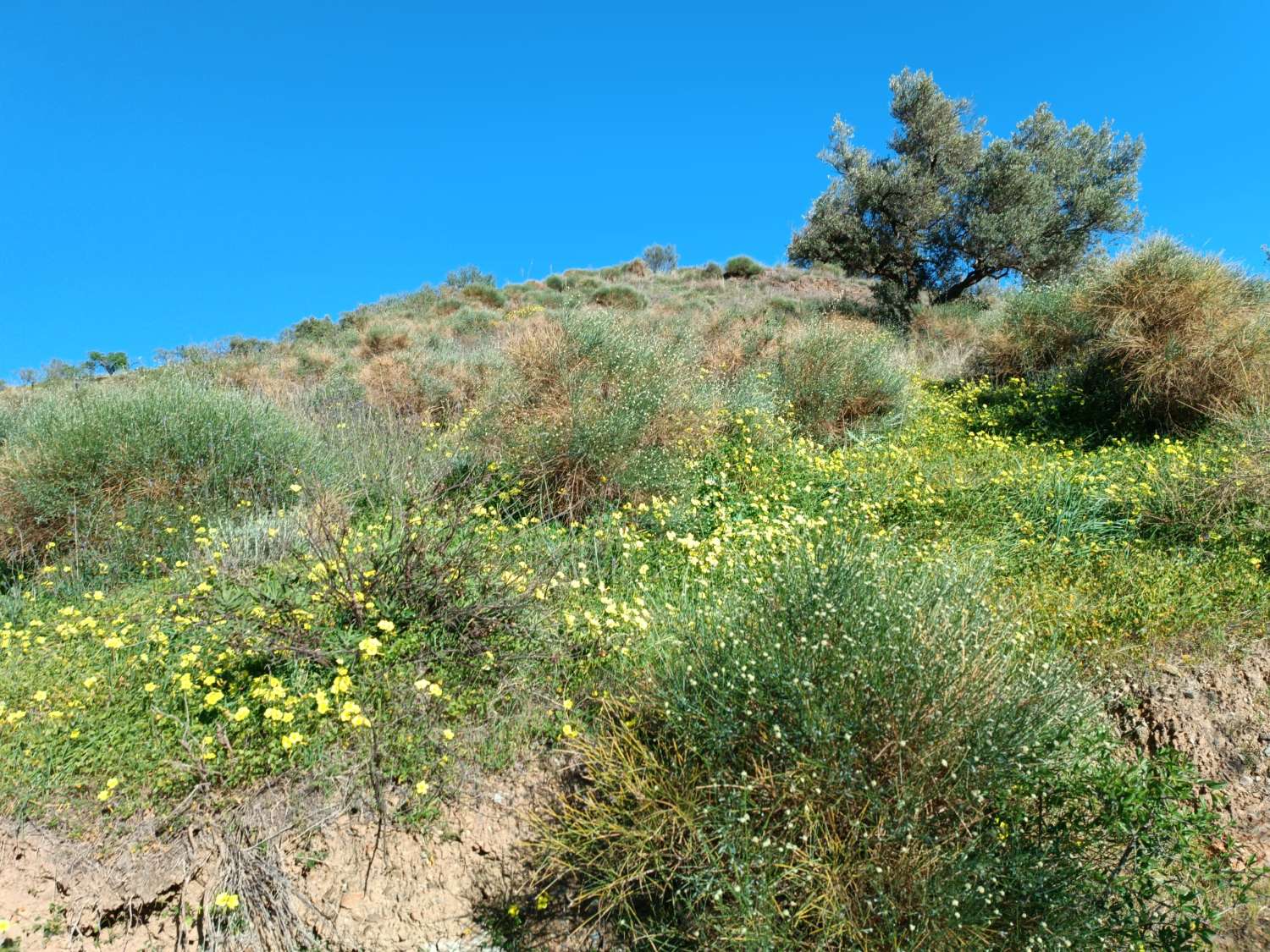 terrain dans les valdes