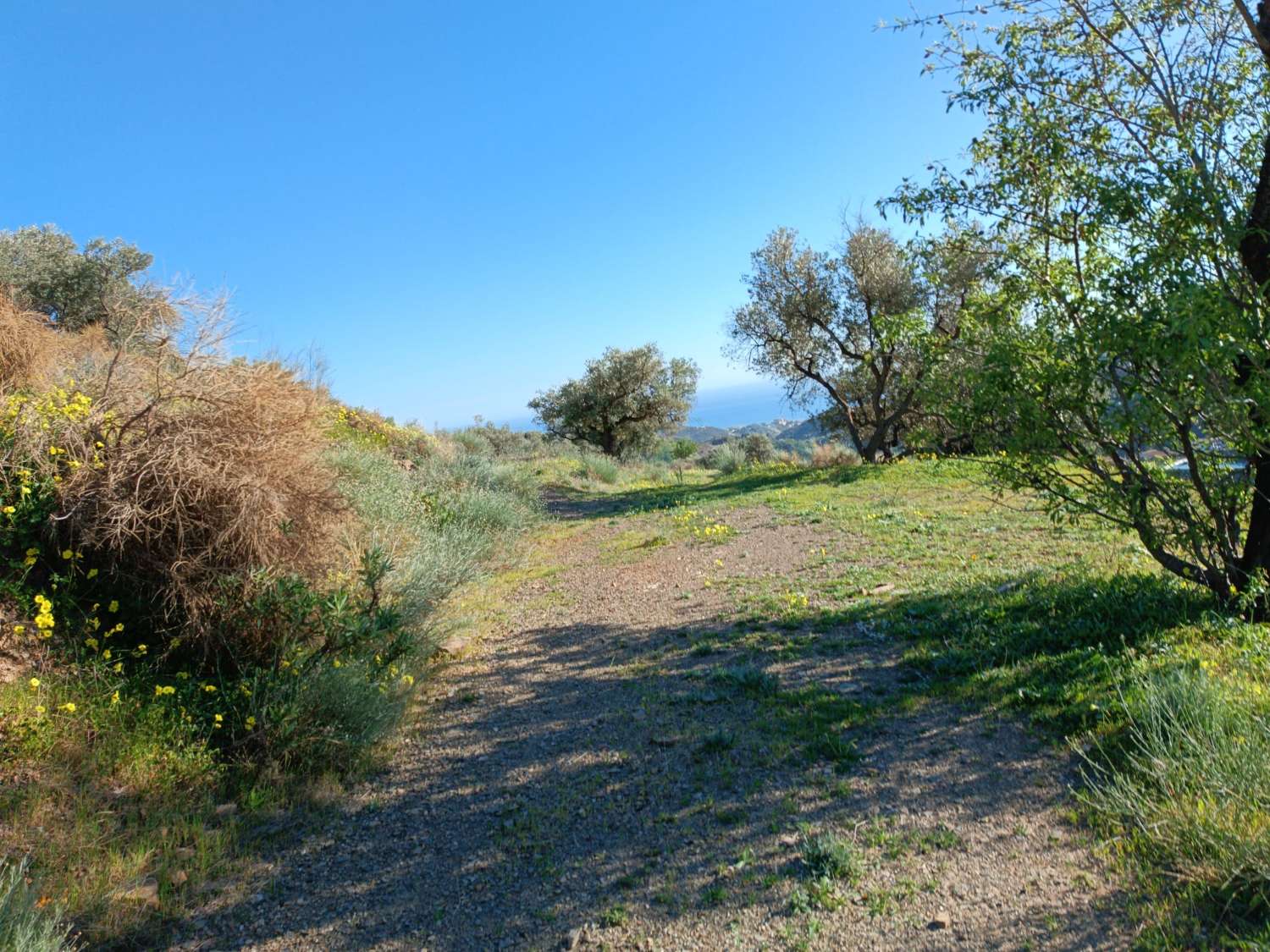 terrain dans les valdes