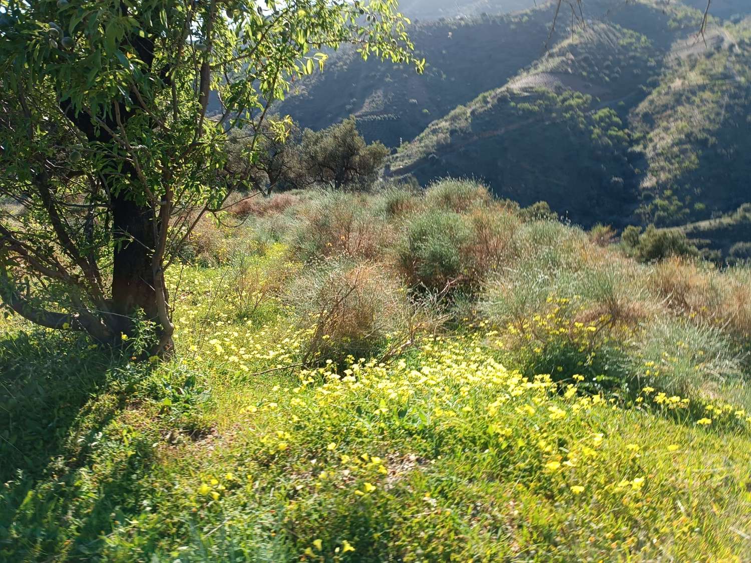 terrain dans les valdes