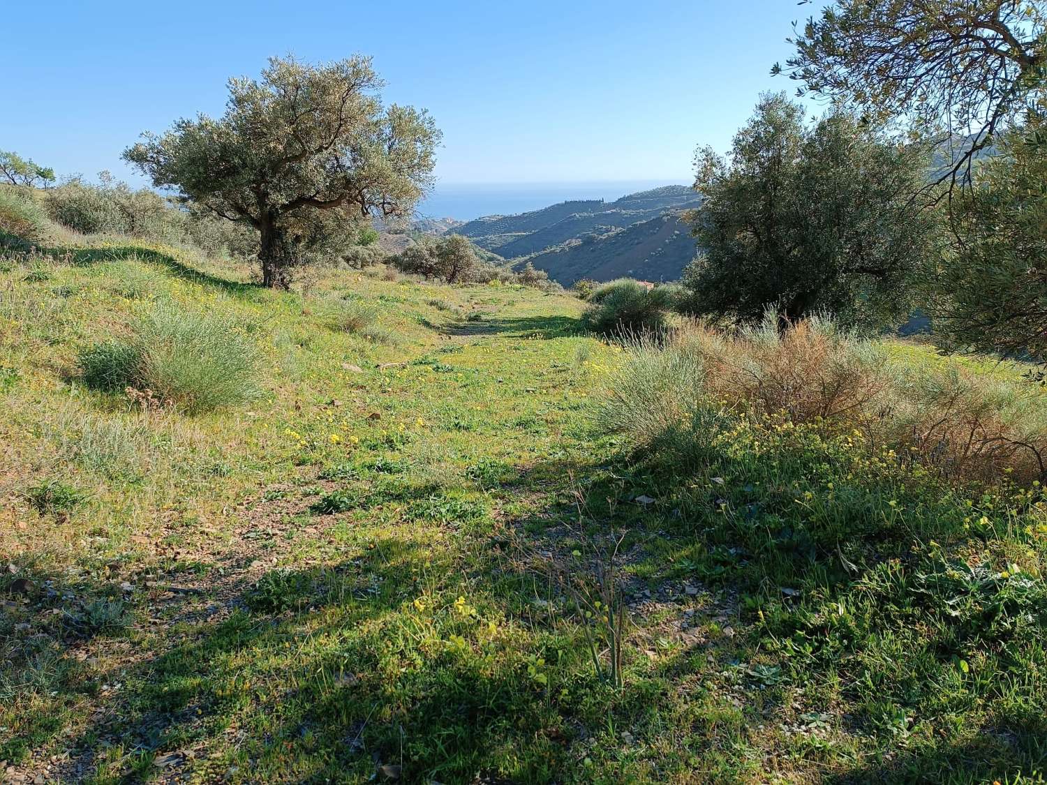 parcela en el valdes