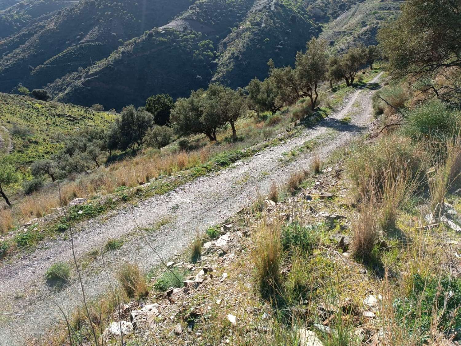 Parcela en el valdes