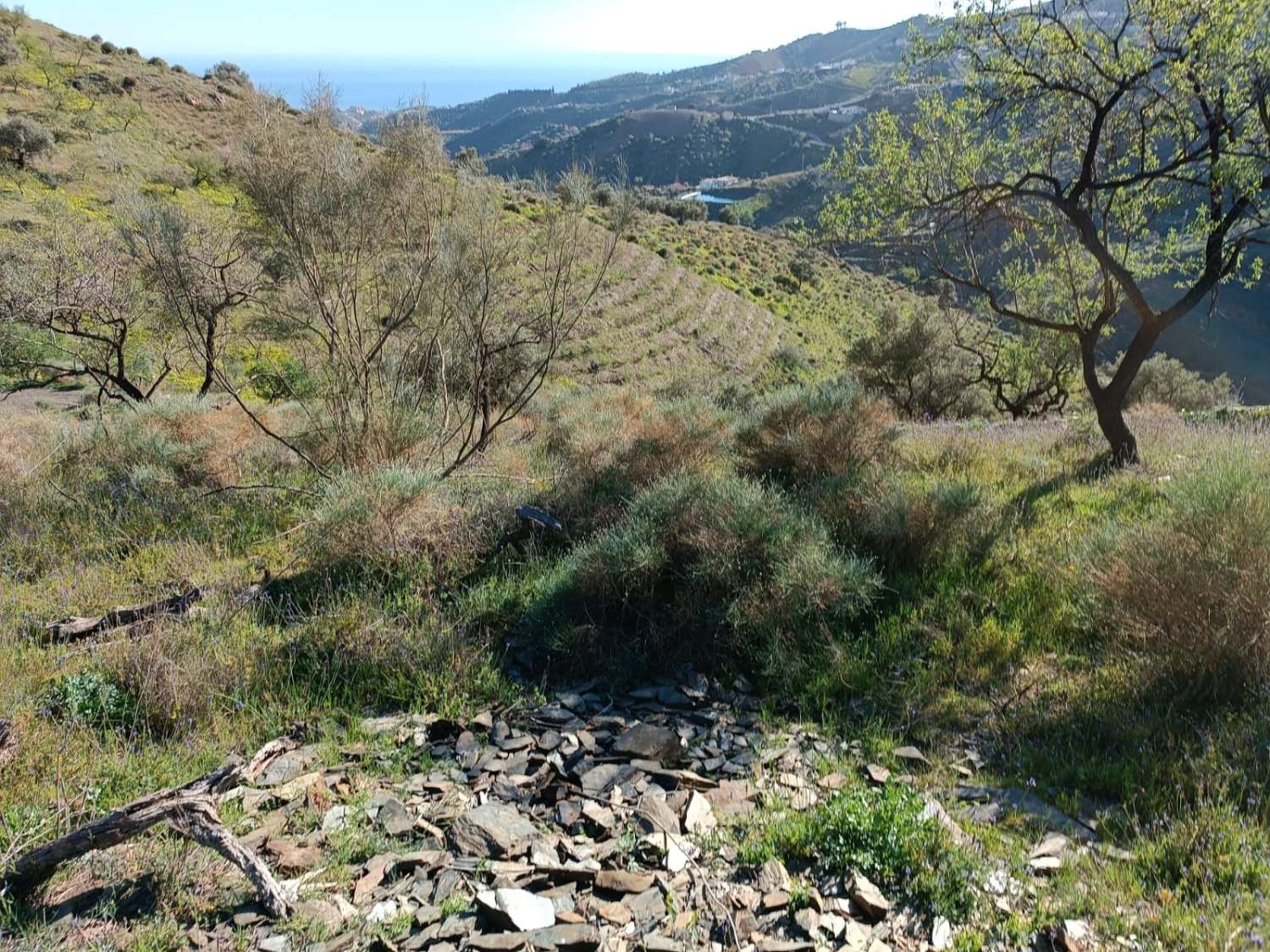 Terrain dans les valdes