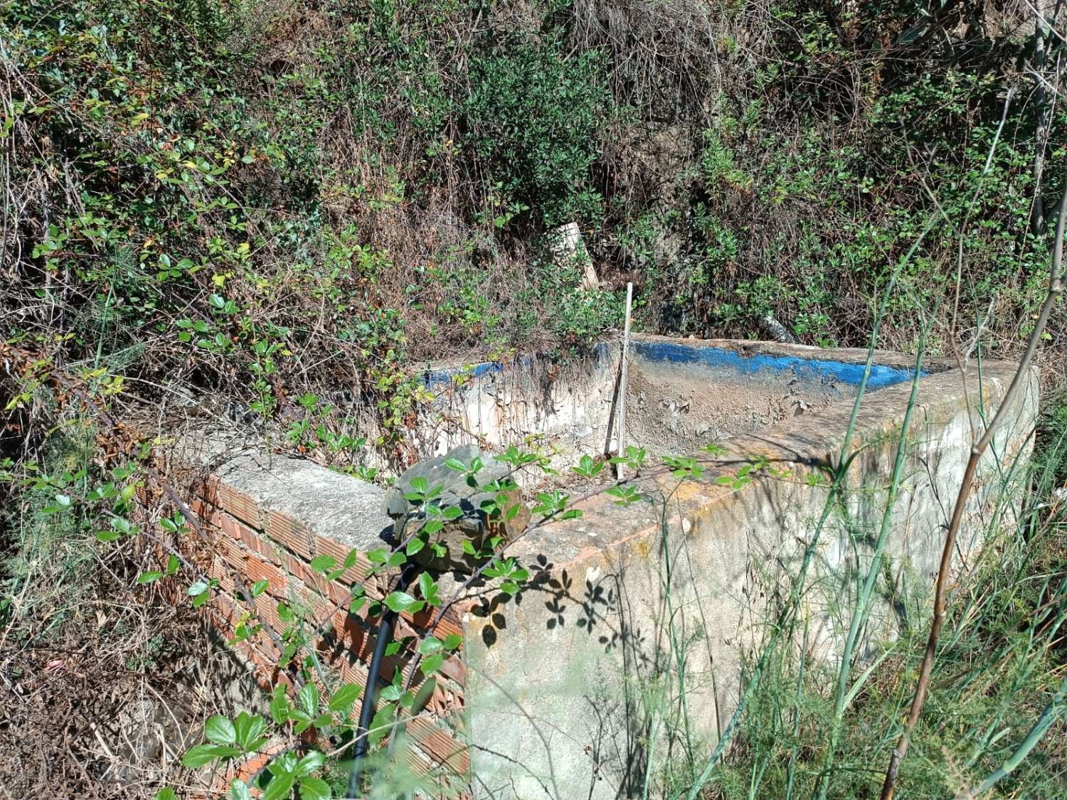 parcela en el borge con casa para reformar