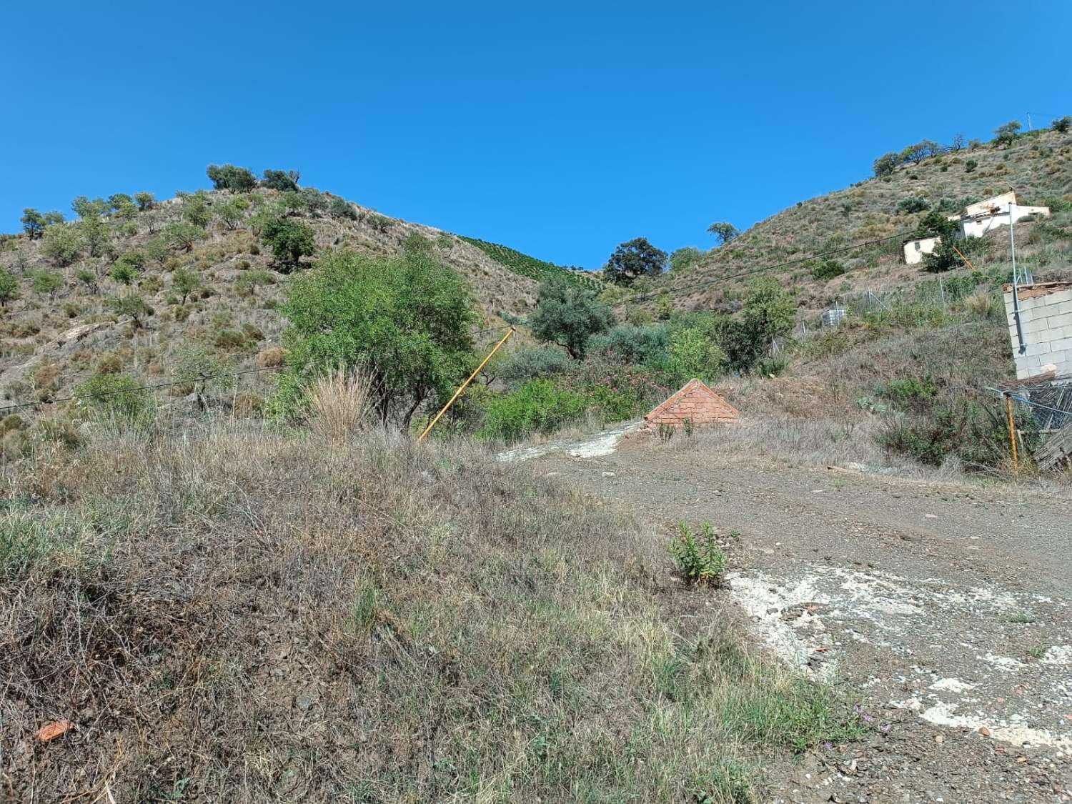 parcela en el borge con casa para reformar