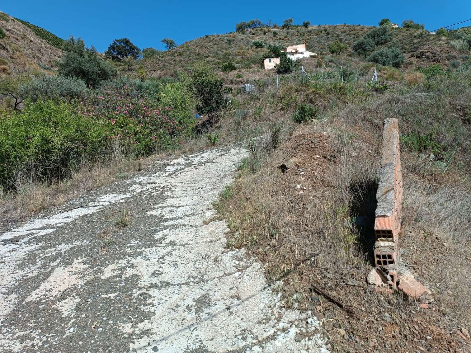 parcela en el borge con casa para reformar