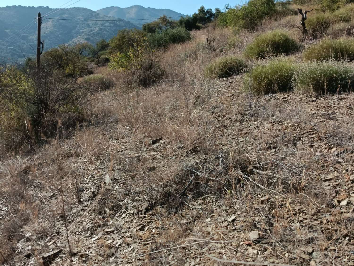 Terreno in totale con vista sul mare