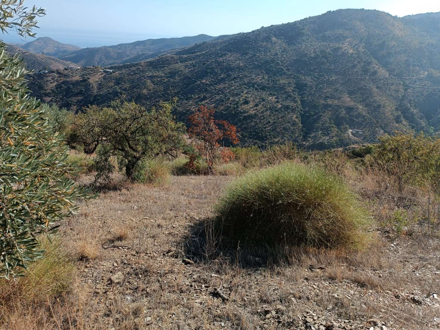 Terreno in totale con vista sul mare