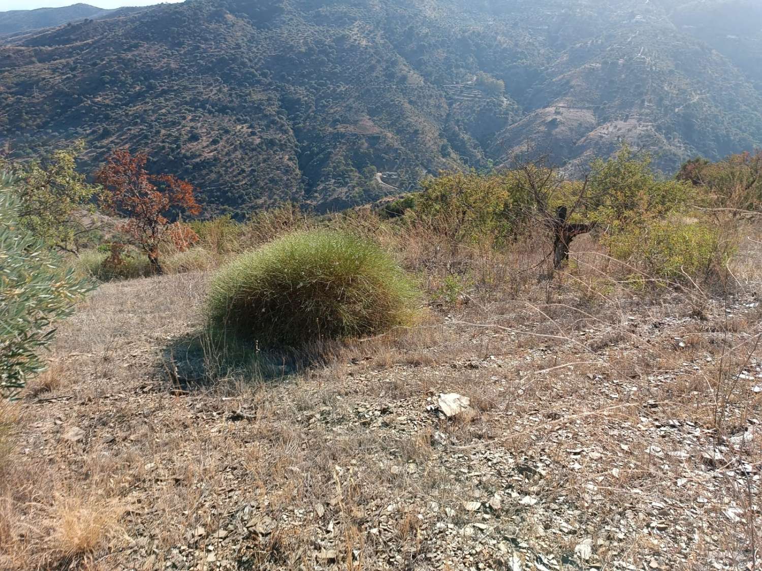 Terreno in totale con vista sul mare