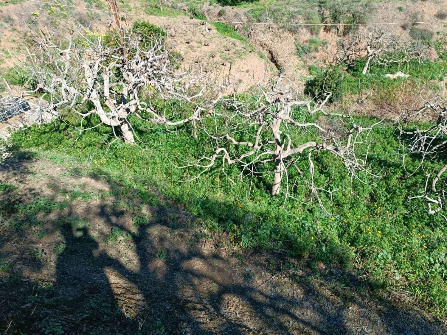 Grundstück in Moclinejo