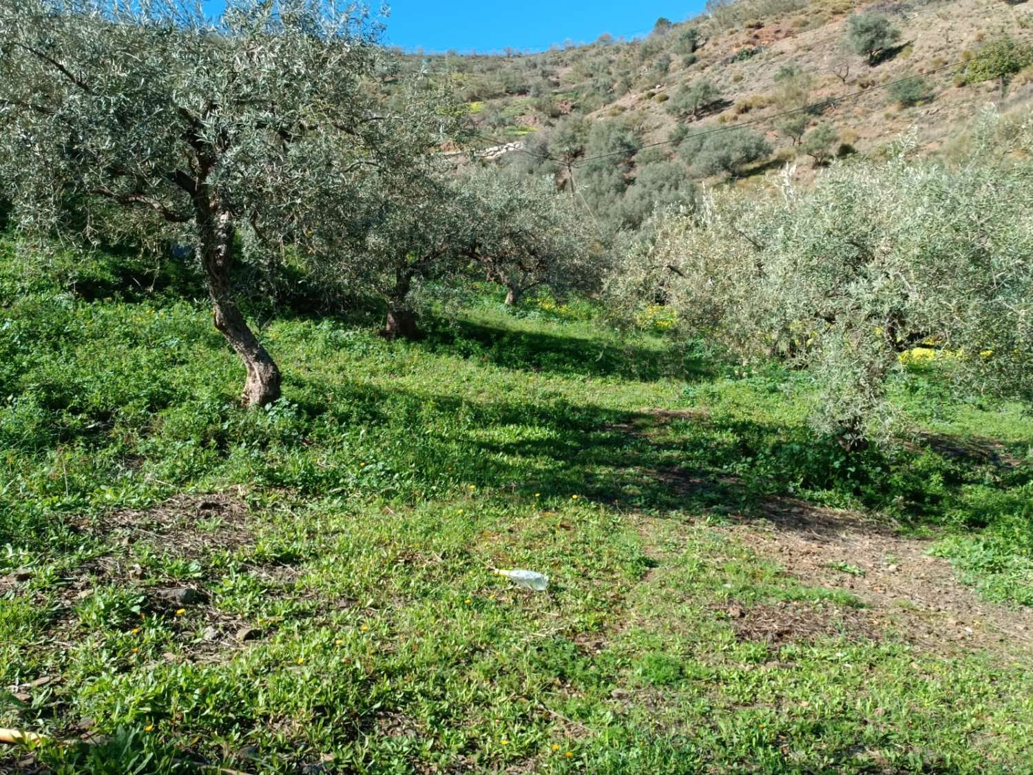 parcela en moclinejo