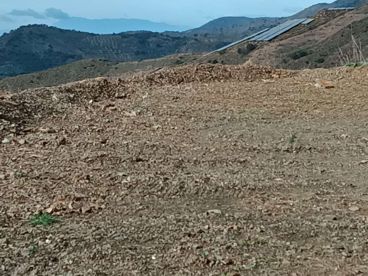 Terrain à moclinejo avec vue sur la mer