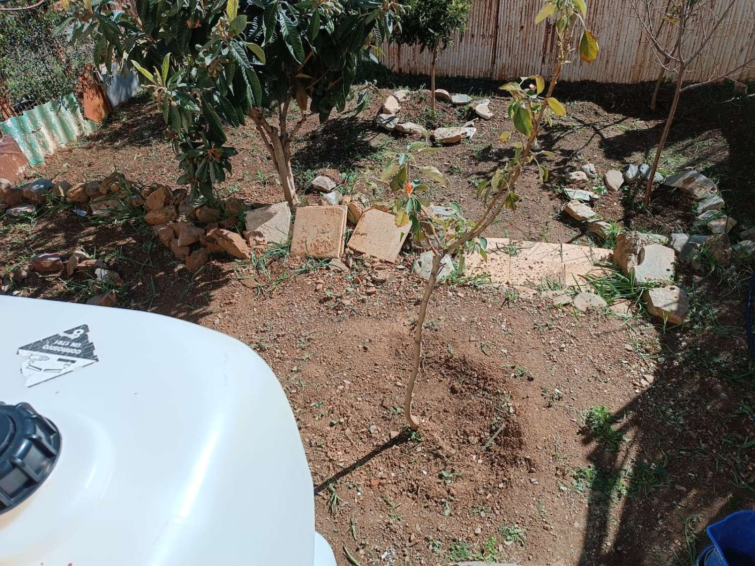 parcela con casita de aperos en venta cotrina