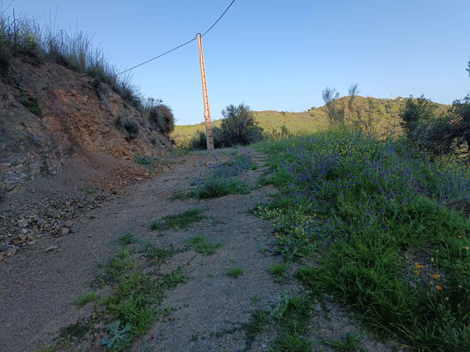 plot in moclinejo with sea views