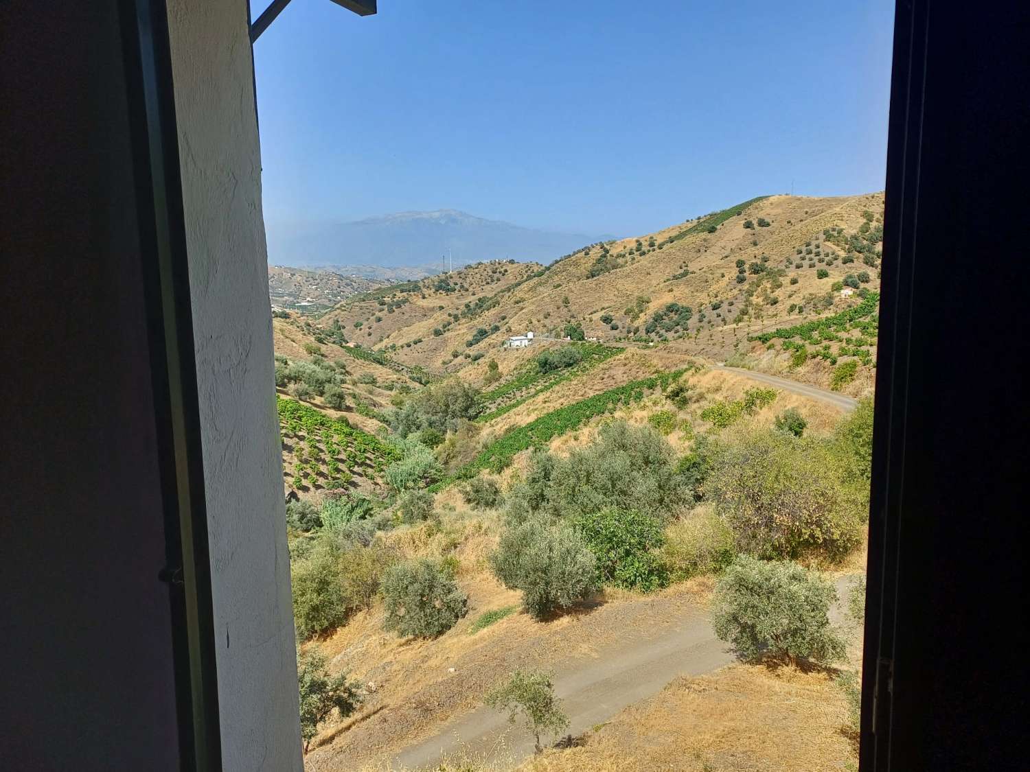 venkovský dům k rekonstrukci v almacharu