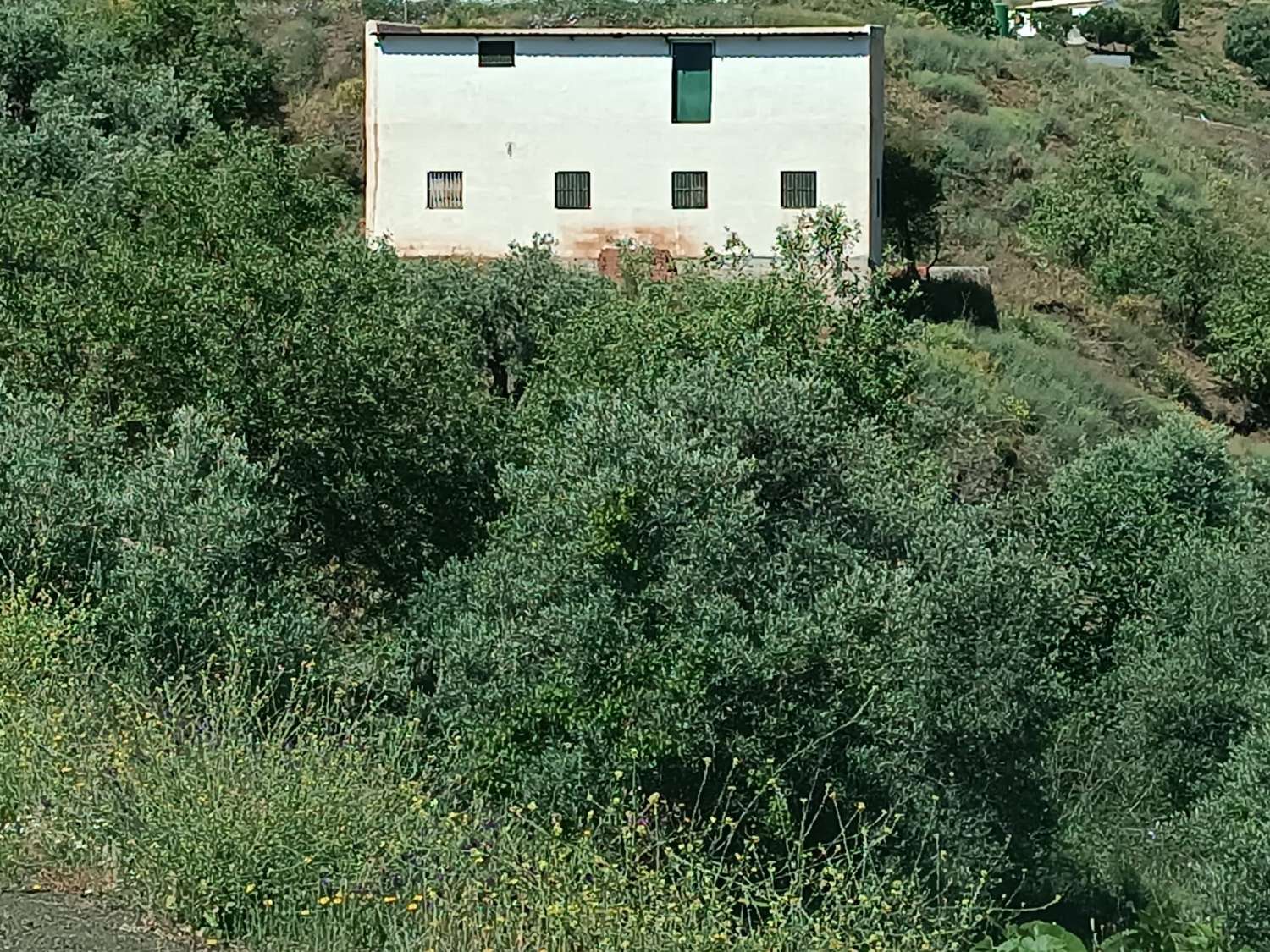 venkovský dům k rekonstrukci v almacharu