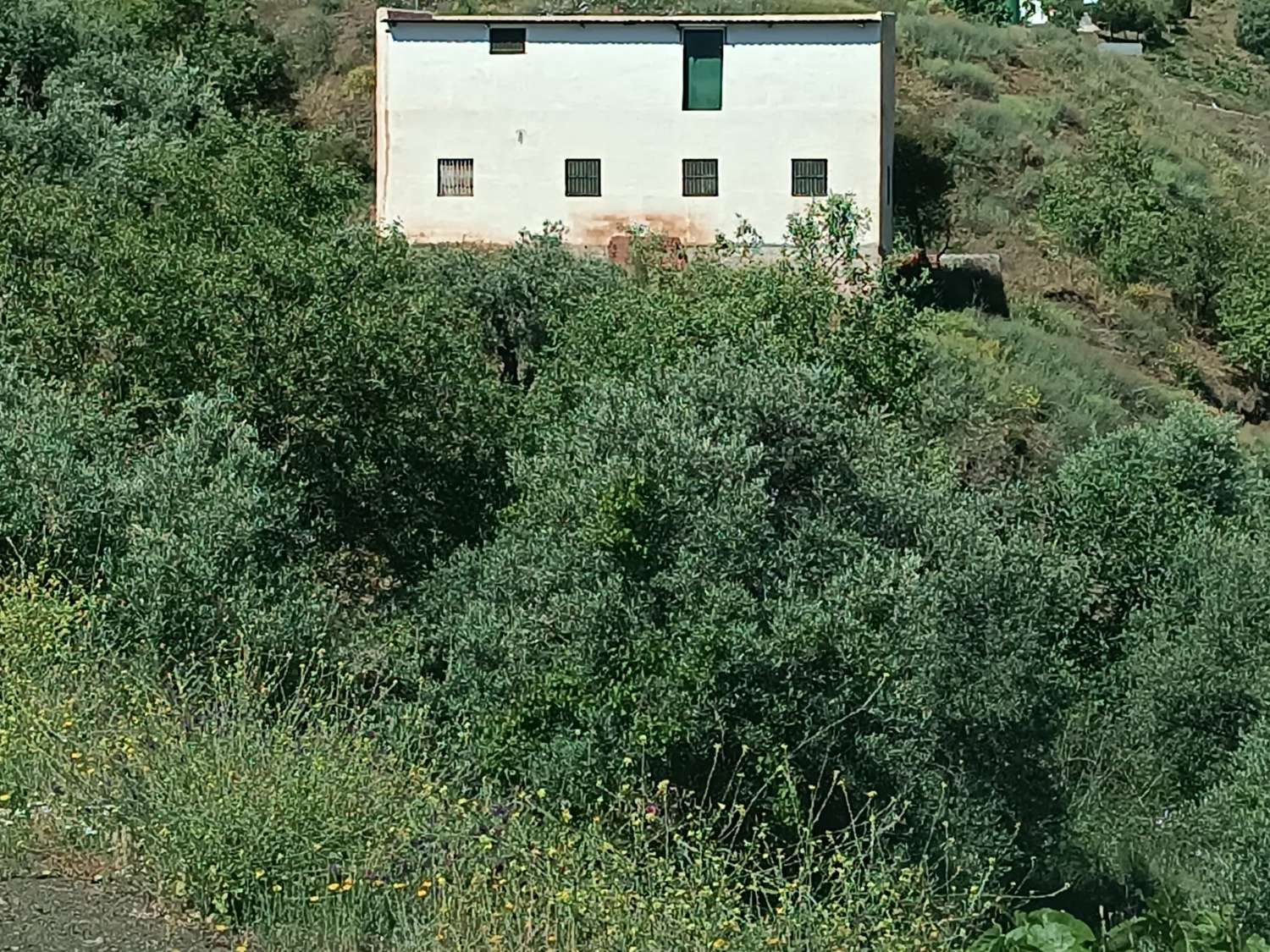 venkovský dům k rekonstrukci v almacharu