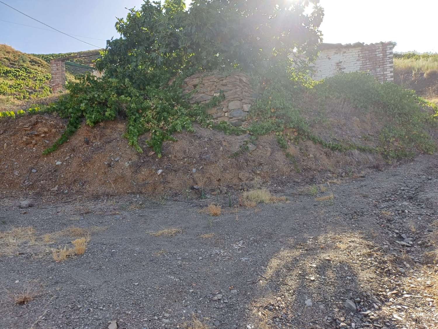 casa con parcela en el borge para reformar