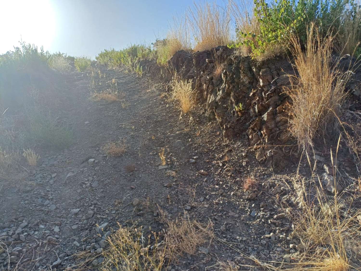 casa con parcela en el borge para reformar