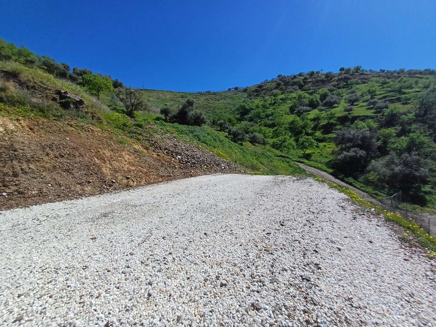 Plot en venda in Moclinejo