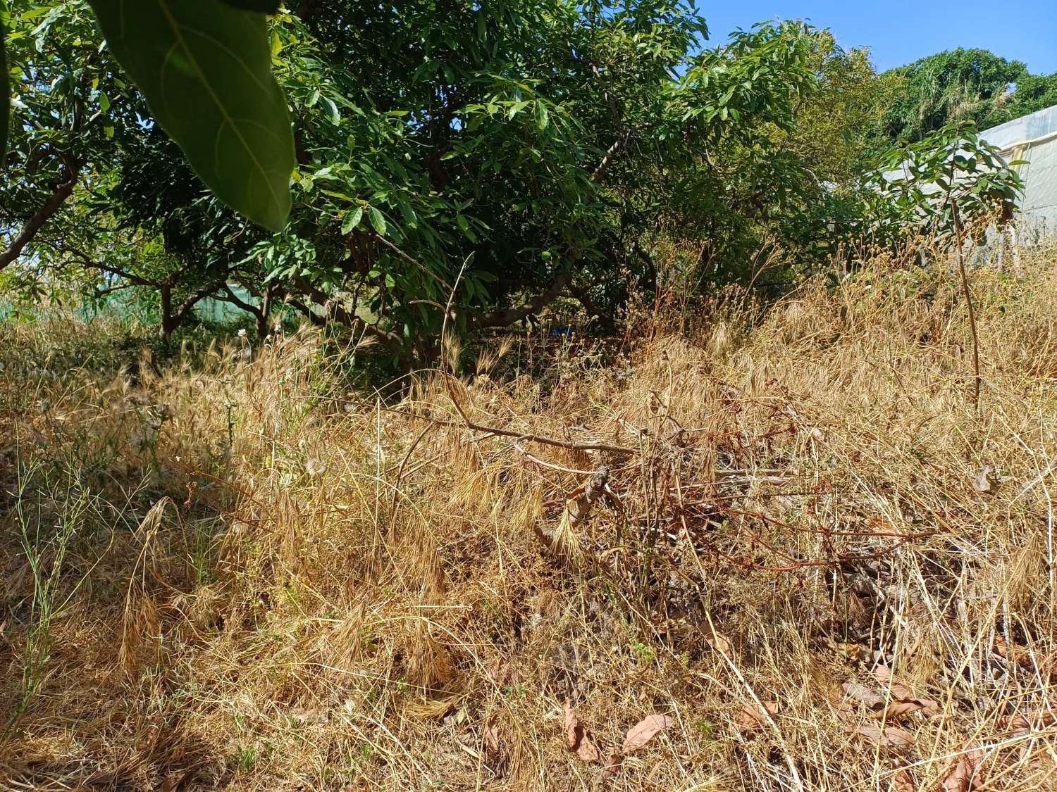 Parcela en el morche con agua
