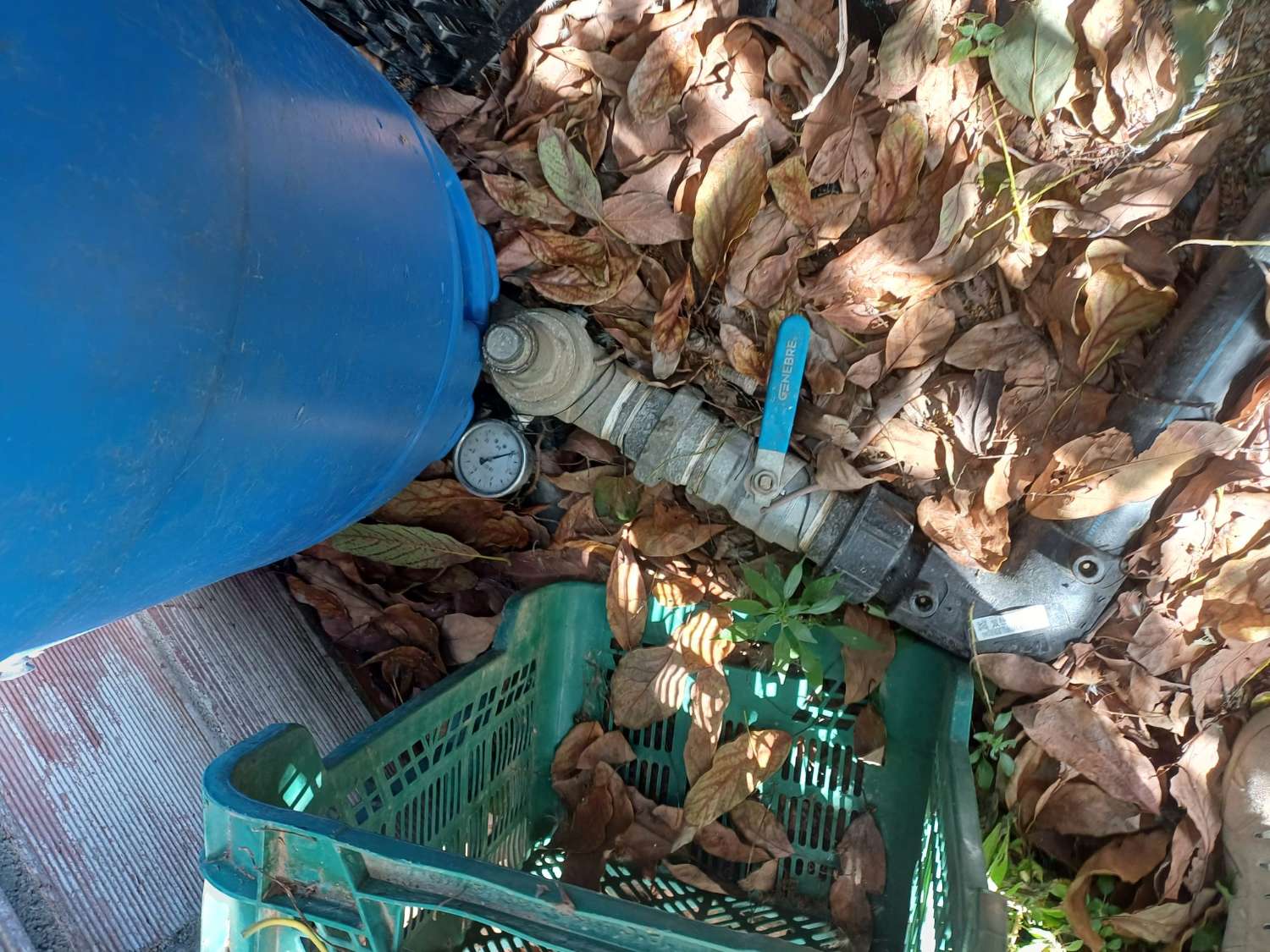 Parcela en el morche con agua