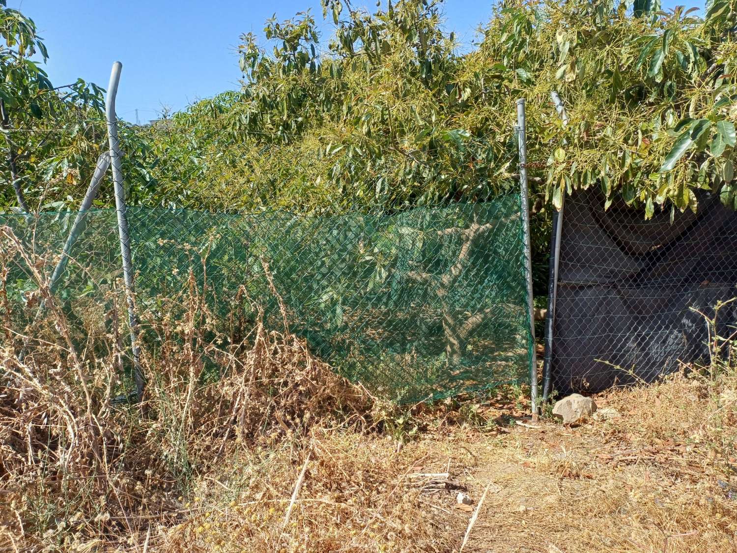 Parcela en el morche con agua