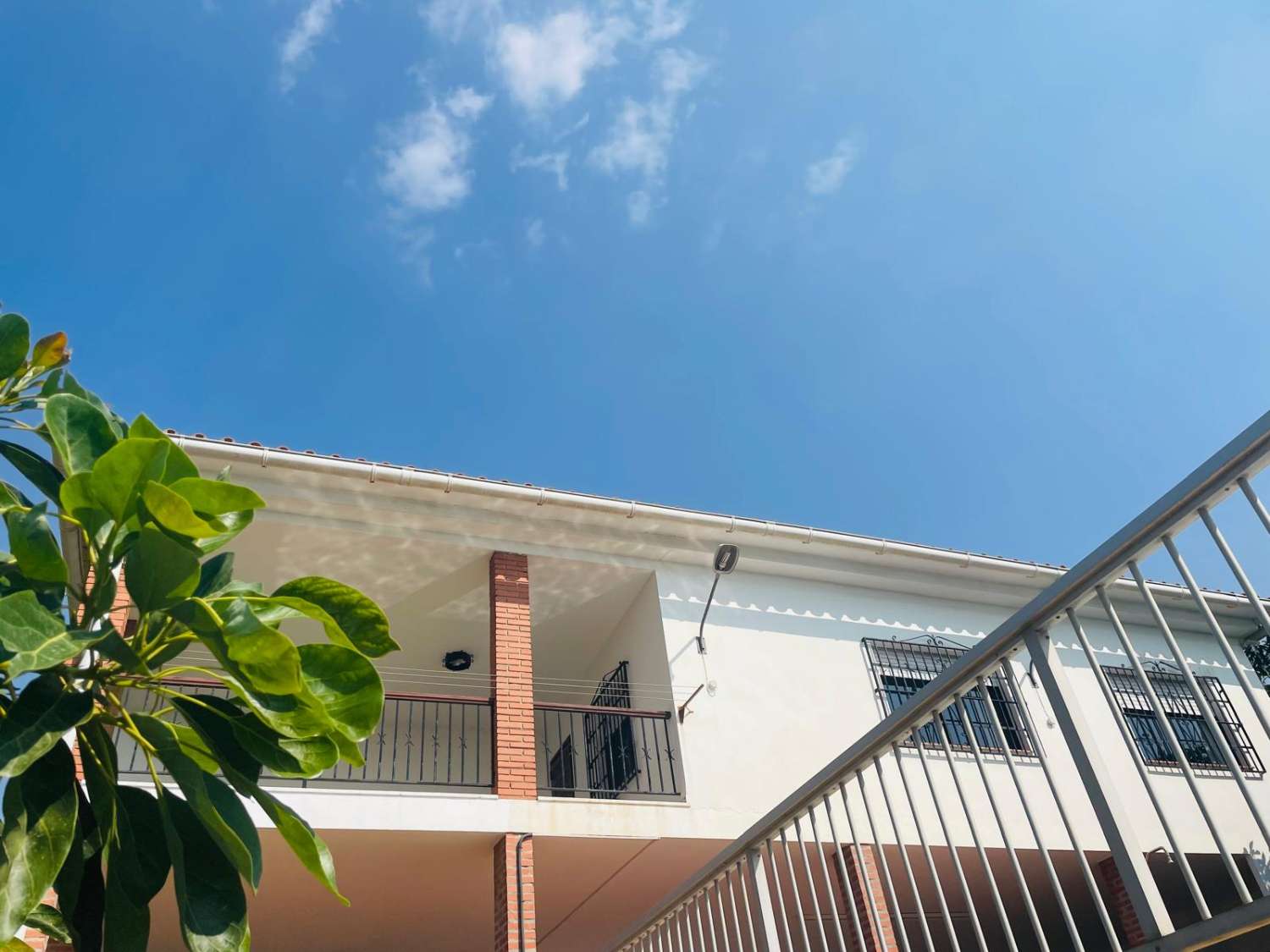 Country house with avocado trees in Almayate