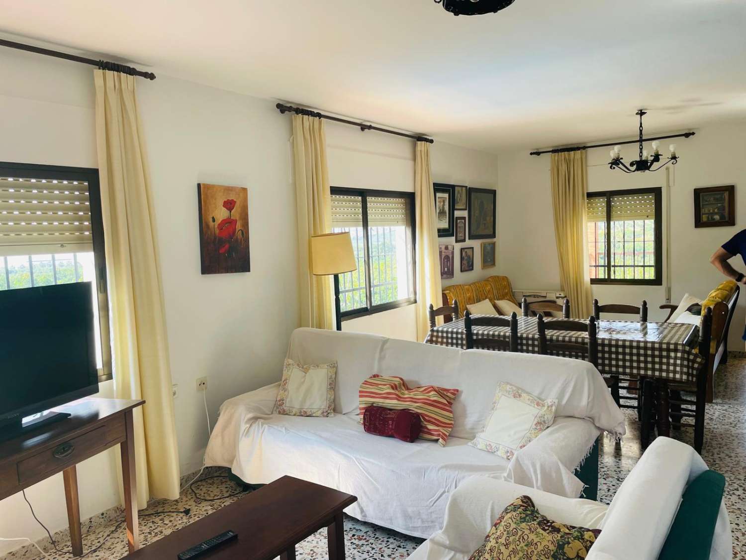 Country house with avocado trees in Almayate