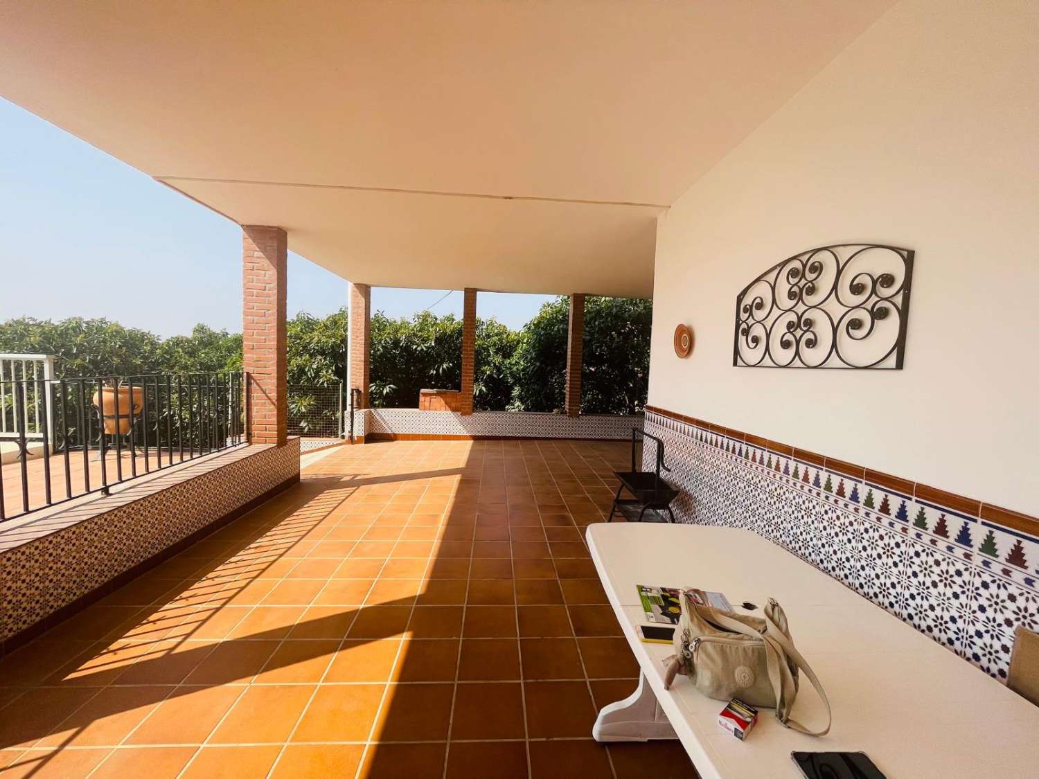 Country house with avocado trees in Almayate