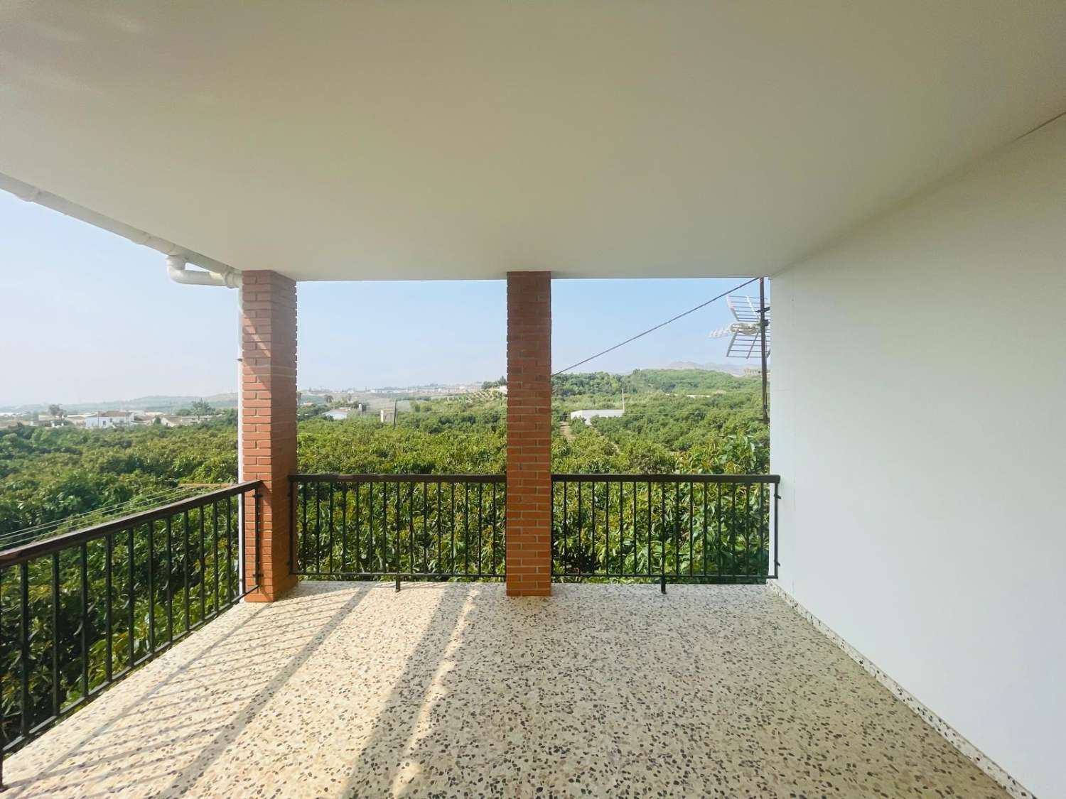 Country house with avocado trees in Almayate